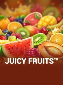 Juicy Fruits Game Terbaru: Review, RTP, dan Akses Main banner